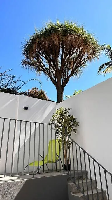 Casa Branca Apartment In Funchal  Funchal (Madeira)